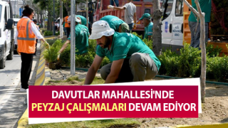 Davutlar Mahallesi'nde peyzaj çalışmaları devam ediyor