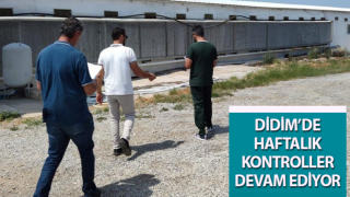 Didim’de haftalık kontroller devam ediyor