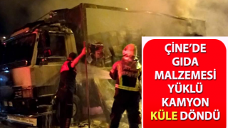 Gıda malzemesi yüklü kamyon küle döndü