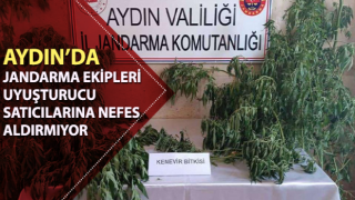 Jandarma uyuşturucu satıcılarına nefes aldırmıyor