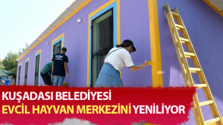 Kuşadası Belediyesi, evcil hayvan merkezini yeniliyor