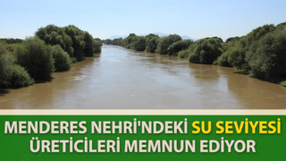 Menderes Nehri'ndeki su seviyesi üreticileri sevindirdi