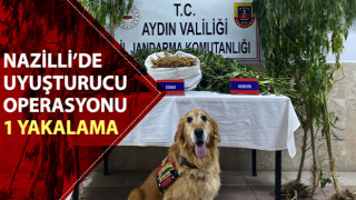 Nazilli’de uyuşturucu operasyonu: 1 yakalama