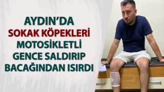 Sokak köpekleri motosikletli gence saldırıp bacağından ısırdı