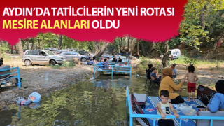 Tatilcilerin yeni rotası mesire alanları oldu