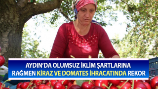 8 ayda sadece kiraz ve domateste 565 milyon liralık ihracat yapıldı