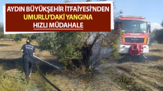 Aydın Büyükşehir İtfaiyesi'nden Umurlu'daki yangına hızlı müdahale