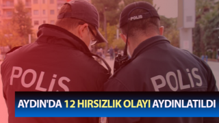 Aydın'da 12 hırsızlık olayı aydınlatıldı