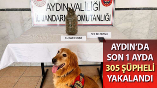 Aydın’da 305 şüpheli yakalandı