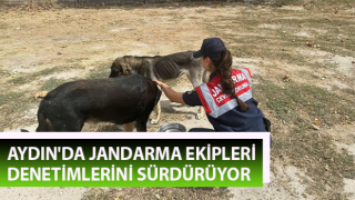 Aydın'da jandarma ekipleri denetimlerini sürdürüyor