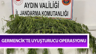 Germencik’te uyuşturucu operasyonu