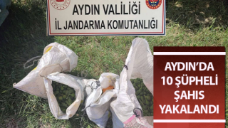 Jandarma’dan tarımsal ürün hırsızlığına geçit yok