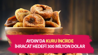 Kuru incirde ihracat hedefi 300 milyon dolar