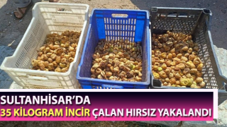 Sultanhisar’da incir hırsızı yakalandı