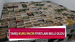 TARİŞ İncir Birliği alım fiyatları belli oldu