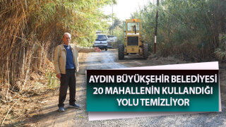 Aydın Belediyesi 20 mahallenin kullandığı yolu temizliyor