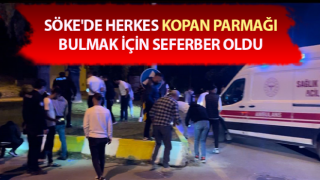 Aydın'da trafik kazası: Herkes kopan parmağı aradı