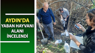 Aydın’da yaban hayvanı alanı incelendi