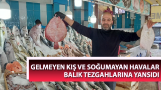 Ege’de yaz gitmeyince balıklar da gelmedi