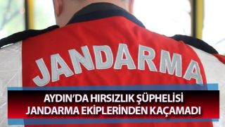 Hırsızlık şüphelisi jandarma ekiplerinden kaçamadı