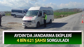 Jandarma 4 bin 621 şahsı sorguladı