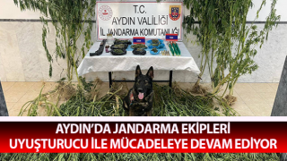 Jandarma uyuşturucu ile mücadeleye devam ediyor