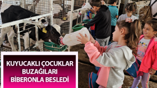 Kuyucaklı çocuklar buzağıları biberonla besledi