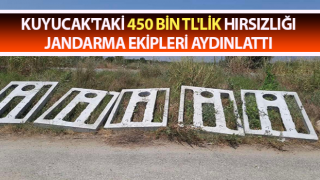 Kuyucak'taki 450 bin TL'lik hırsızlık aydınlatıldı