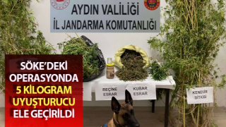 Söke’de uyuşturucu operasyonu