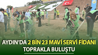 2 bin 23 mavi servi fidanı toprakla buluştu