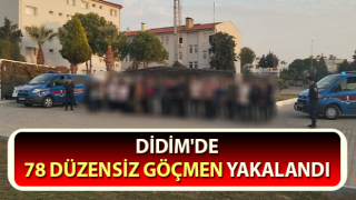 Aydın’da 78 düzensiz göçmen yakalandı