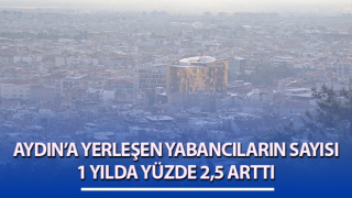 Aydın’da yabancıların sayısı 1 yılda yüzde 2,5 arttı