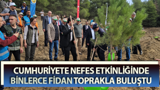 Cumhuriyete Nefes etkinliğinde binlerce fidan toprakla buluştu