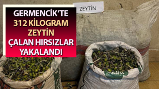 Germencik’te zeytin hırsızları yakalandı