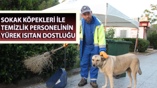 Her gün birlikte mesai yapıp, birlikte dinleniyorlar