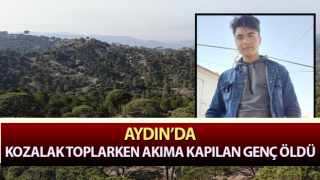 Kozalak toplarken akıma kapılan genç öldü