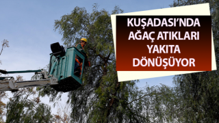 Kuşadası’nda ağaç atıkları yakıta dönüşüyor