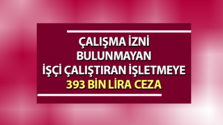 Aydın'da 11 yabancıya çalışma izni olmadığı için ceza