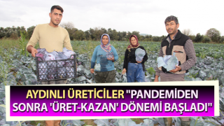 Aydın'da kara lahana hasadı başladı