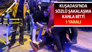 Aydın’da sözlü şakalaşma kanla bitti