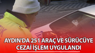 Aydın'da trafik denetimi