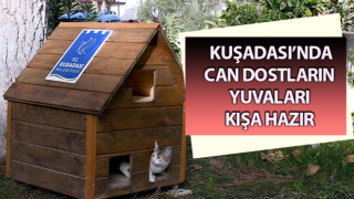 Can dostların yuvaları kışa hazır