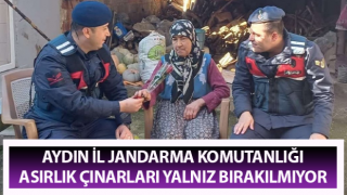 Jandarma ekipleri asırlık çınarları yalnız bırakılmıyor