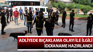 Savcılık “tasarlayarak kasten öldürmeye teşebbüs” dedi