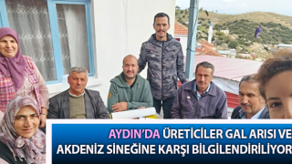 Üreticiler gal arısı ve Akdeniz sineğine karşı bilgilendiriliyor