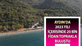 Aydın’da 1 yılda 20 bin gelir getirici fidan toprakla buluştu