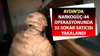 Aydın’da 33 sokak satıcısı yakalandı