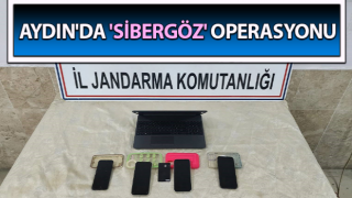 Aydın'da 'Sibergöz' operasyonu