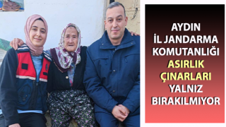 Jandarma ekipleri asırlık çınarları yalnız bırakılmıyor