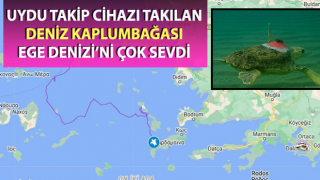 Kuşadası'ndan yola çıktı, Yunan adalarını dolaşıyor
